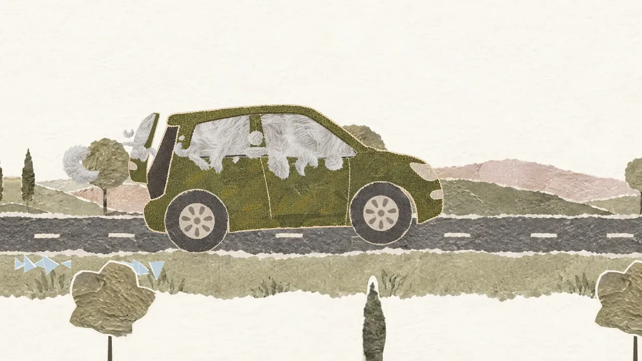 Das Auto fährt über Land, Fell quillt aus Kofferraum und Fenstern.